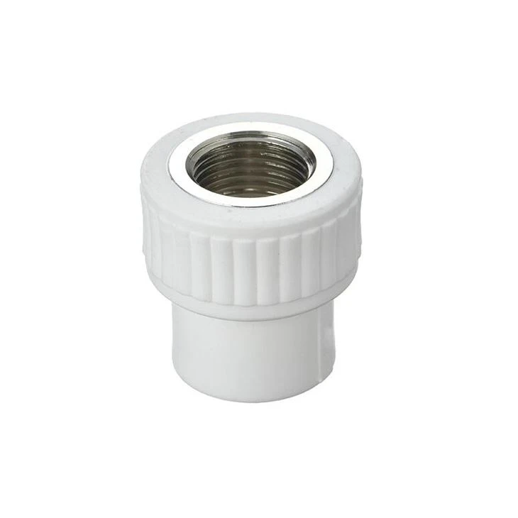 Khớp nối chủ đề nữ PPR
